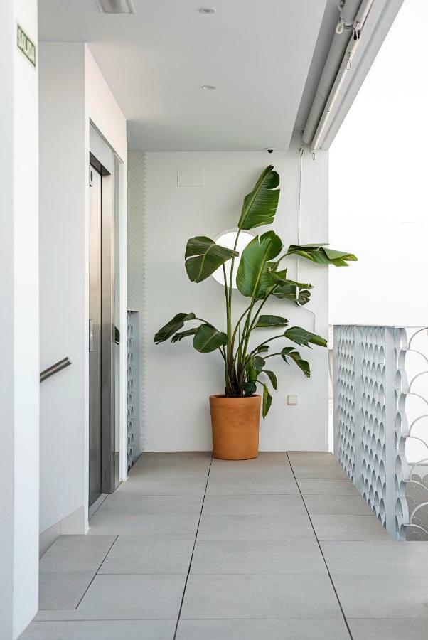 Apartamentos Y Estudios Centricos Conil Home Suite Conil De La Frontera Eksteriør billede