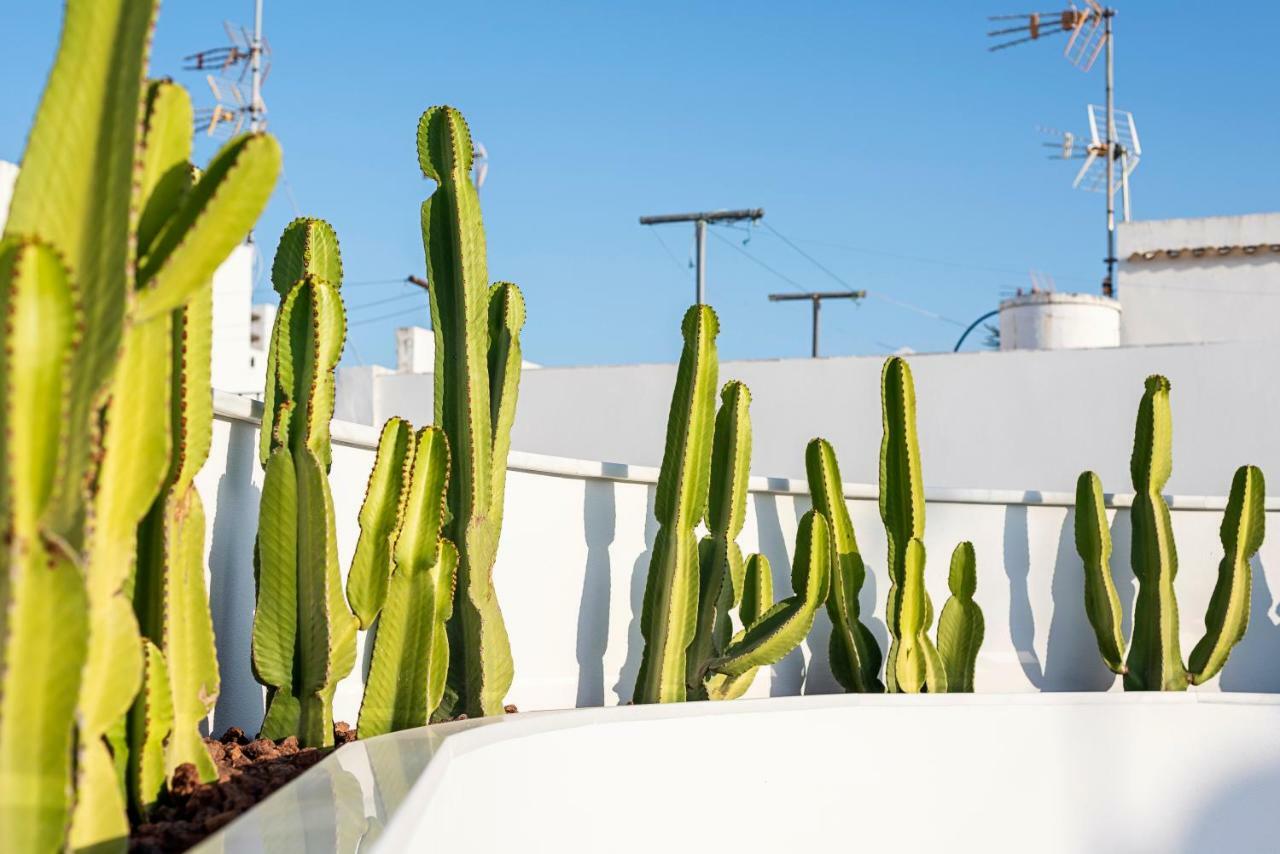 Apartamentos Y Estudios Centricos Conil Home Suite Conil De La Frontera Eksteriør billede